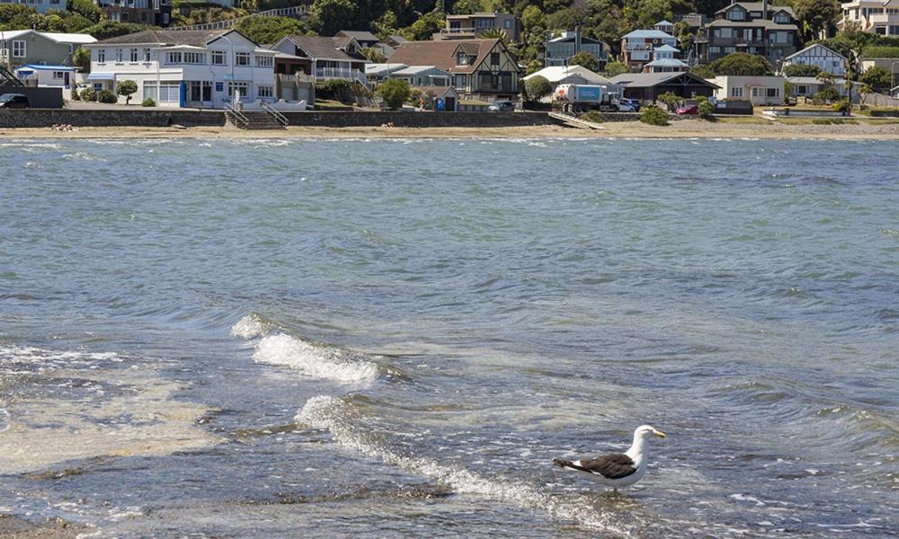 モアナ ロッジ Plimmerton エクステリア 写真
