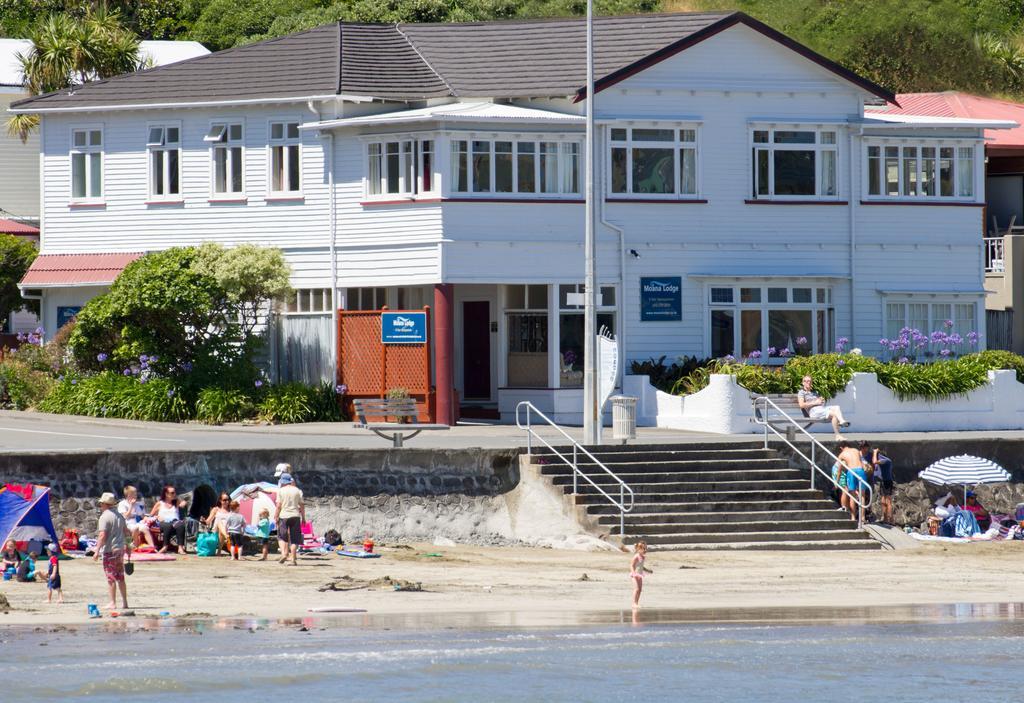 モアナ ロッジ Plimmerton エクステリア 写真