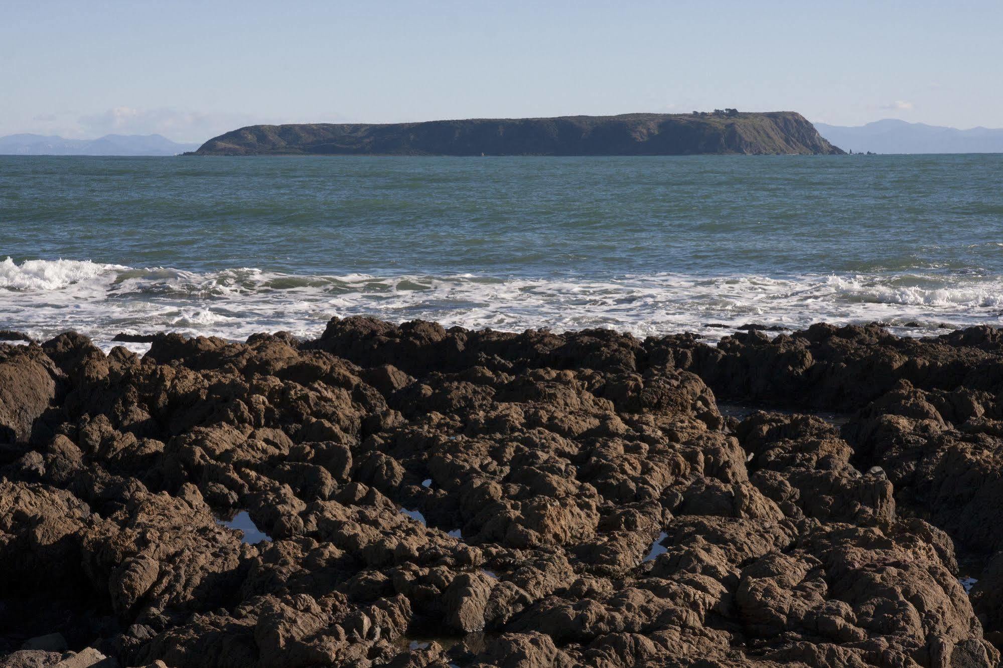 モアナ ロッジ Plimmerton エクステリア 写真
