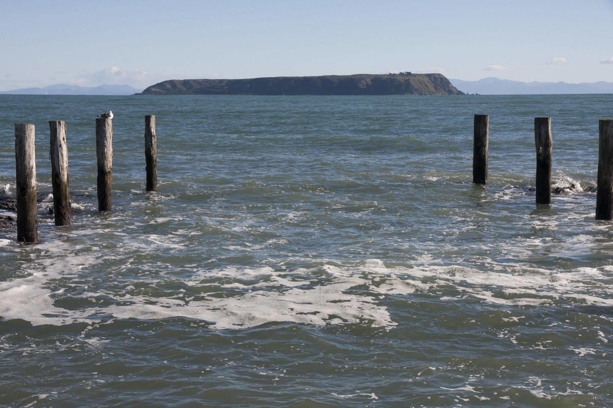 モアナ ロッジ Plimmerton エクステリア 写真